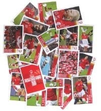 Panini Euro 2008 Poster Sticker P1-P20 Swiss Edition Panini Euro 2008 Poster Sticker P1-P20 Swiss Edition