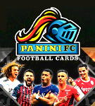 Panini Ligue 1 Sticker & Cards