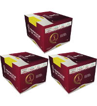 Panini WM 2022 Sticker Katar - 3 Displays (=300 Tüten)